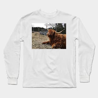 Scottish Highland Cattle Cow 2361 Long Sleeve T-Shirt